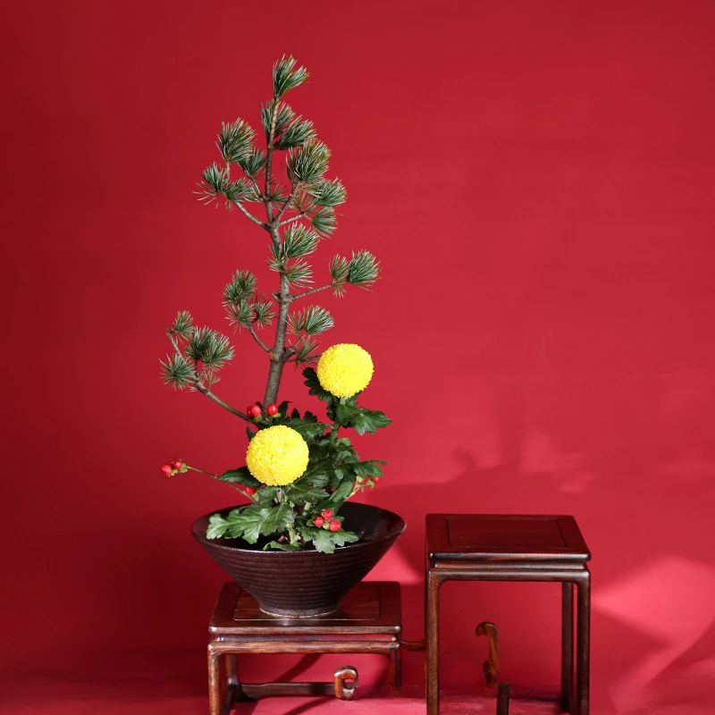 일본 개구리 꽃병 세라믹 부케 꽃꽂이 그릇 장치, 켄잔 - Ikebana Vase Kenzan 리뷰 및 가격