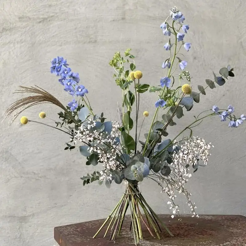 나선형 이케바나 스템 거치대 견고한 투명 꽃꽂이 거치대 - Ikebana Vase Kenzan 리뷰 및 가격