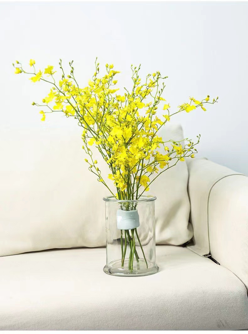 꽃병용 나선형 줄기 홀더, 나선형 이케바나 줄기 홀더, - Ikebana Vase Kenzan 리뷰 및 가격
