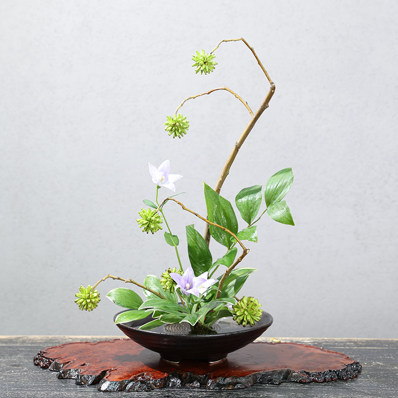일본 개구리 꽃병 세라믹 꽃다발, 이케바나 꽃꽂이 그릇 - Ikebana Vase Kenzan 리뷰 및 가격