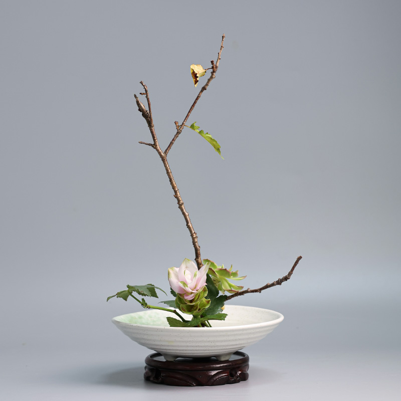 일본 개구리 꽃병 세라믹 꽃다발, 이케바나 꽃꽂이 그릇 - Ikebana Vase Kenzan 리뷰 및 가격