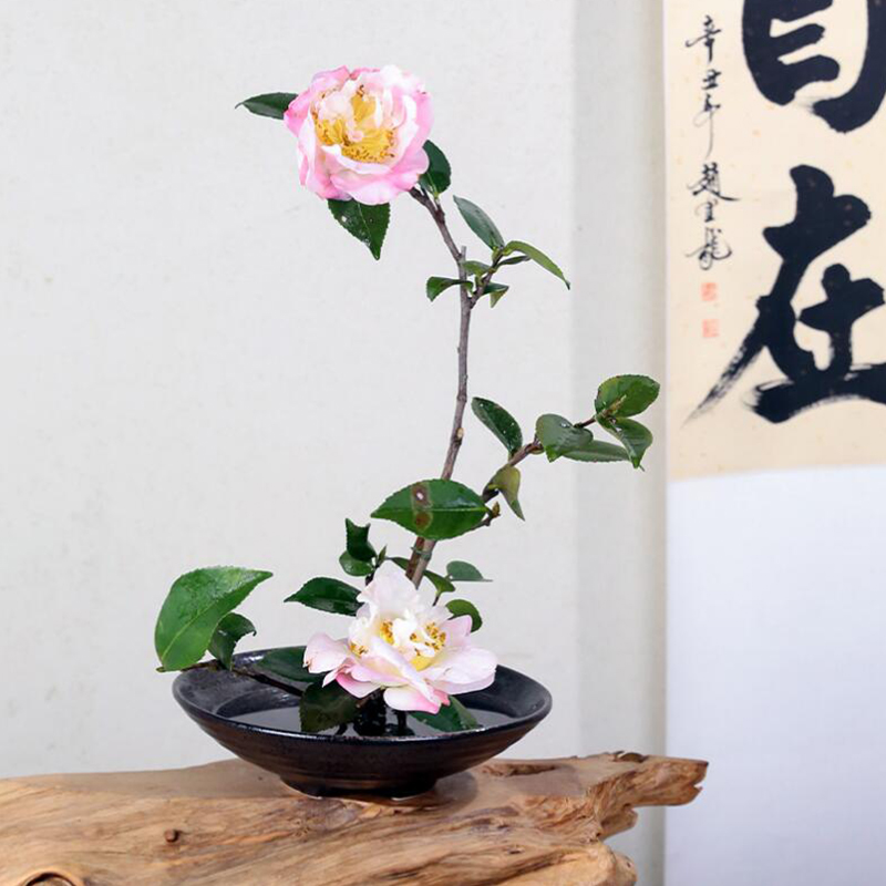 일본 개구리 꽃병 세라믹 꽃다발, 이케바나 꽃꽂이 그릇 - Ikebana Vase Kenzan 리뷰 및 가격